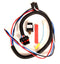 LarryB's FS20-FH P-Pump Fuel Solenoid Wiring Harness For Flat Pin Solenoids, Includes Relay, Link